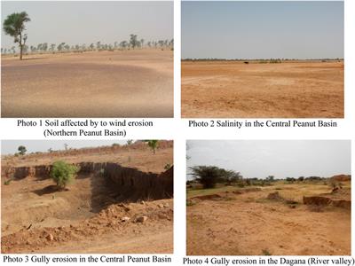 Sustainable land management policy to address land degradation: linking old forest management practices in Senegal with new REDD+ requirements